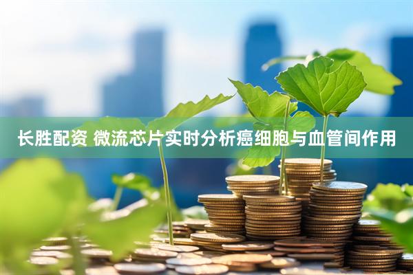 长胜配资 微流芯片实时分析癌细胞与血管间作用