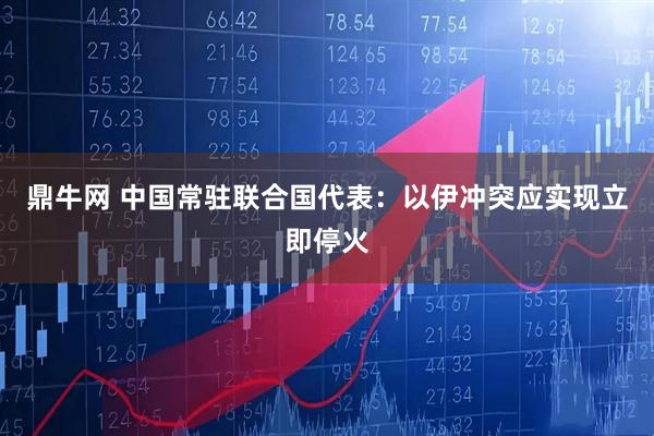 鼎牛网 中国常驻联合国代表：以伊冲突应实现立即停火