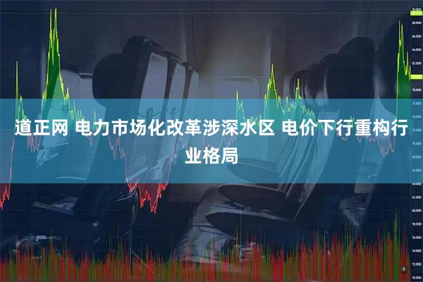 道正网 电力市场化改革涉深水区 电价下行重构行业格局
