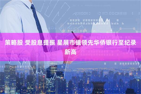 策略股 受股息提振 星展市值领先华侨银行至纪录新高