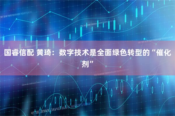 国睿信配 黄琦：数字技术是全面绿色转型的“催化剂”