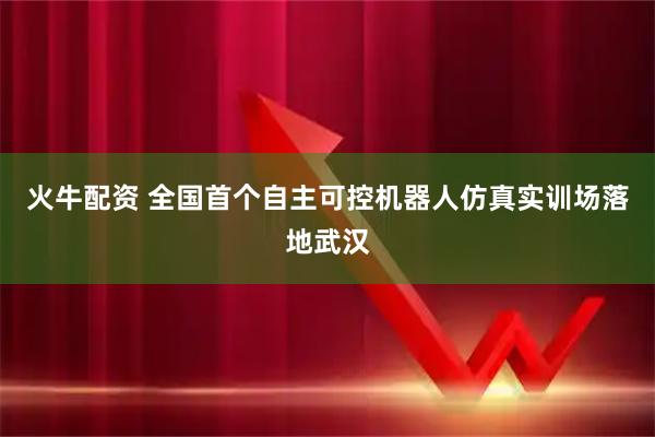 火牛配资 全国首个自主可控机器人仿真实训场落地武汉