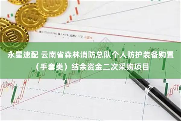 永星速配 云南省森林消防总队个人防护装备购置（手套类）结余资金二次采购项目